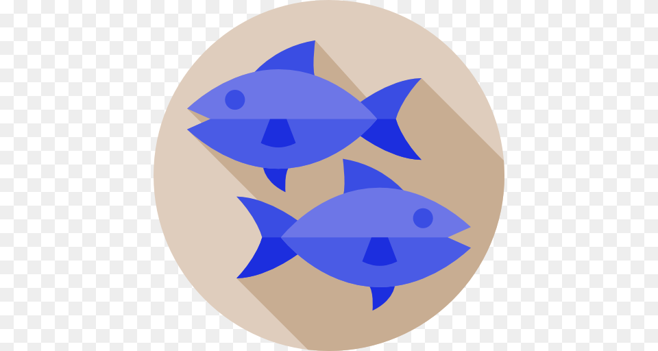 Pisces, Animal, Fish, Sea Life, Shark Png Image