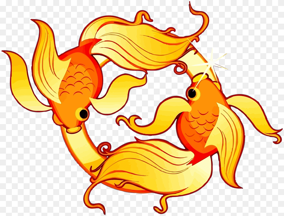 Pisces, Baby, Person, Animal, Sea Life Free Transparent Png