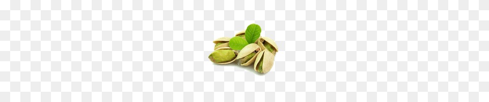 Pistachio, Food, Nut, Plant, Produce Free Png