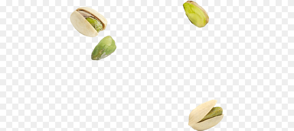 Pistachio, Food, Nut, Plant, Produce Free Transparent Png