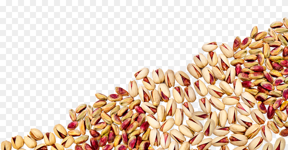 Pistachio, Food, Nut, Plant, Produce Png Image