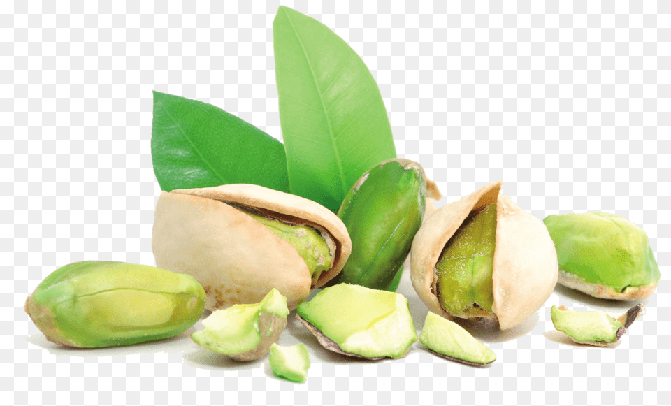 Pistachio And Leaves, Burger, Food, Nut, Plant Free Png Download