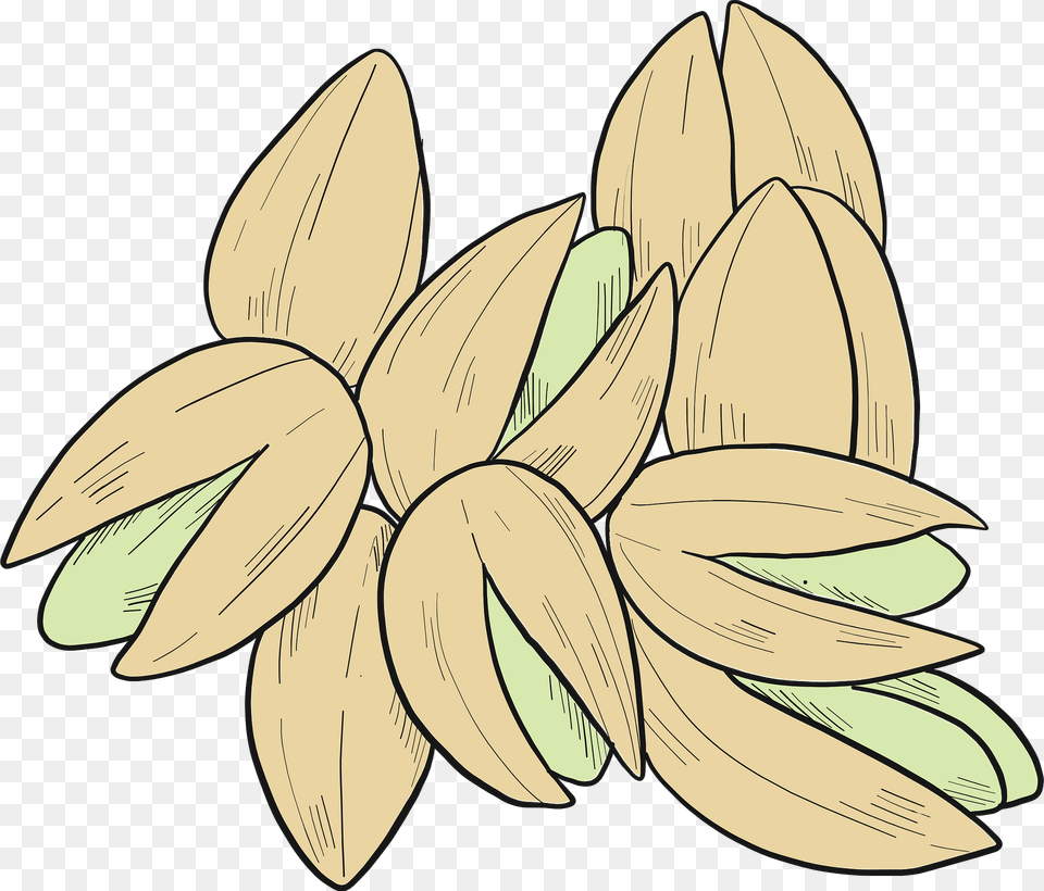 Pistachio Clipart, Flower, Plant, Leaf, Food Free Png Download