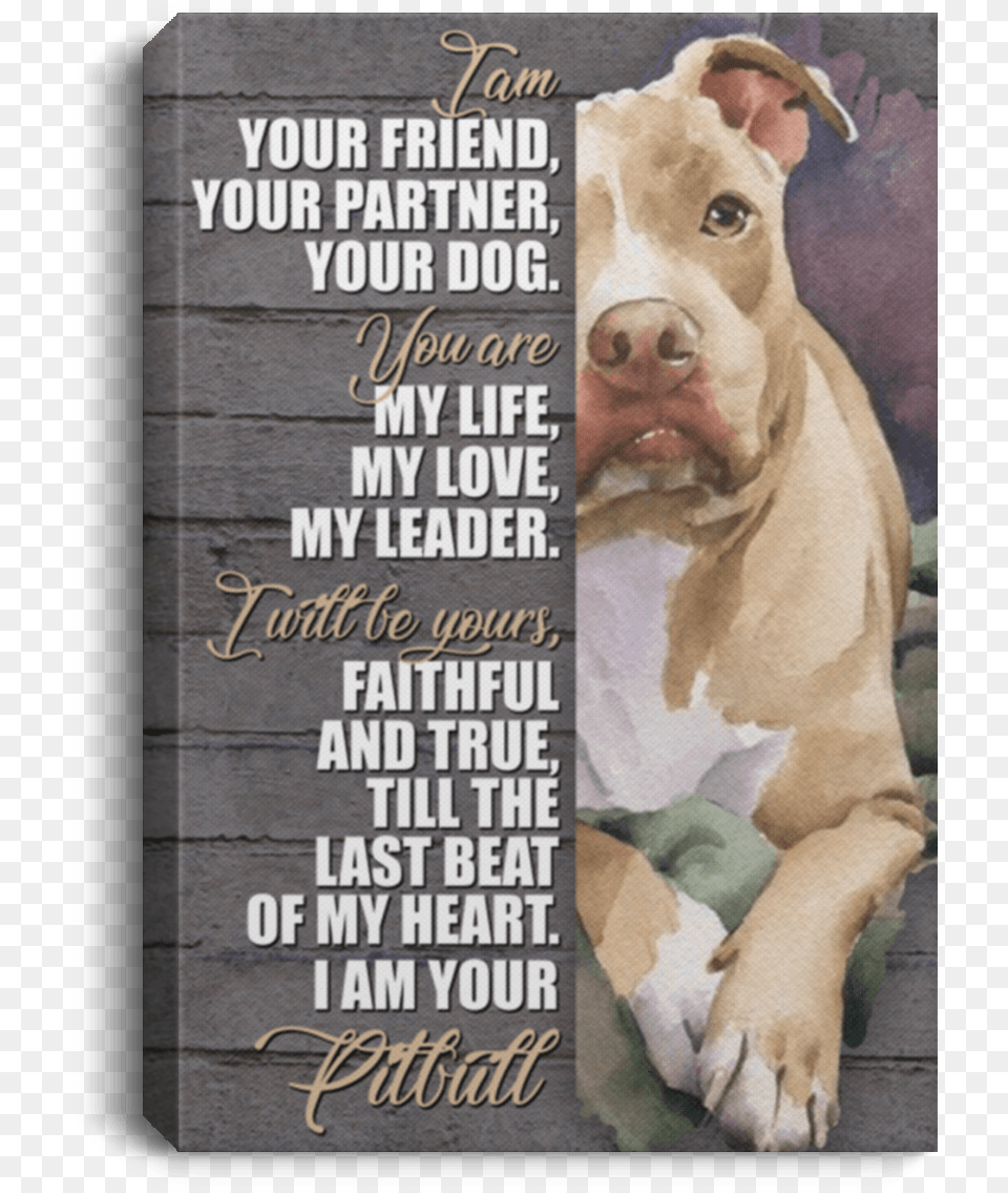 Pit Bull, Advertisement, Animal, Bulldog, Canine Png Image