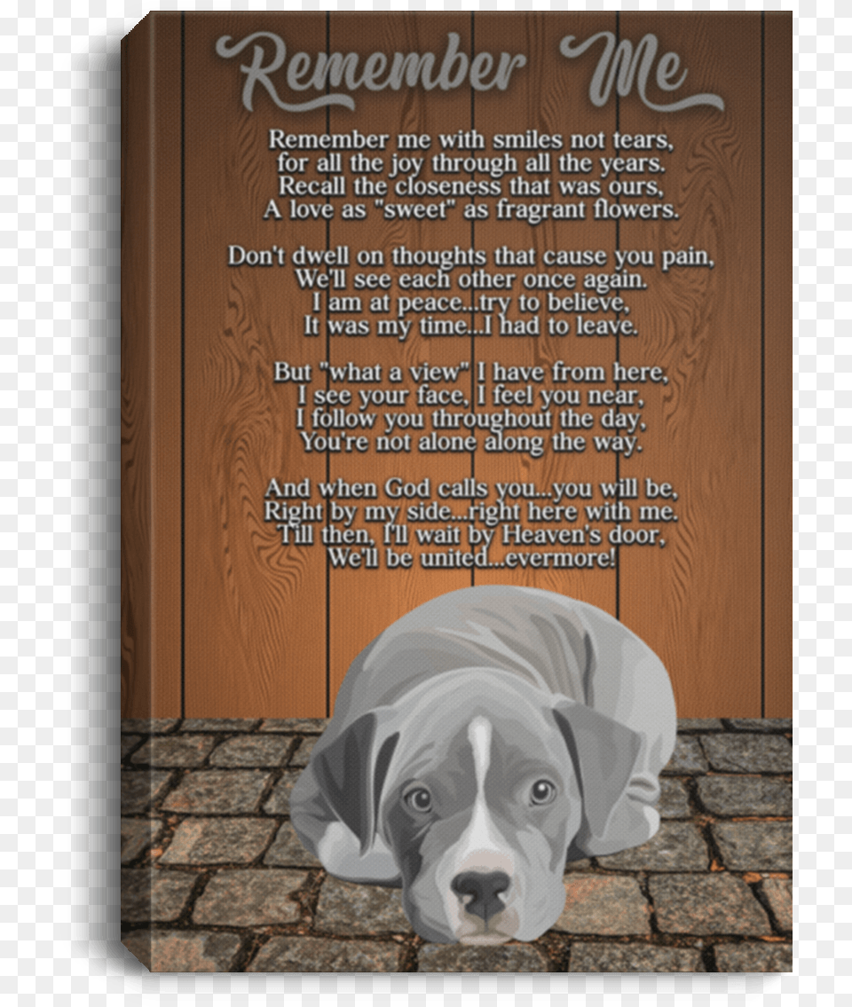 Pit Bull, Walkway, Slate, Path, Dog Free Png