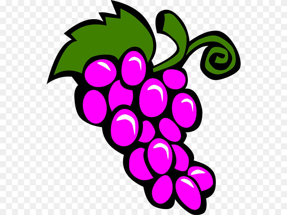 Pit Bull Clipart, Food, Fruit, Grapes, Plant Free Png Download