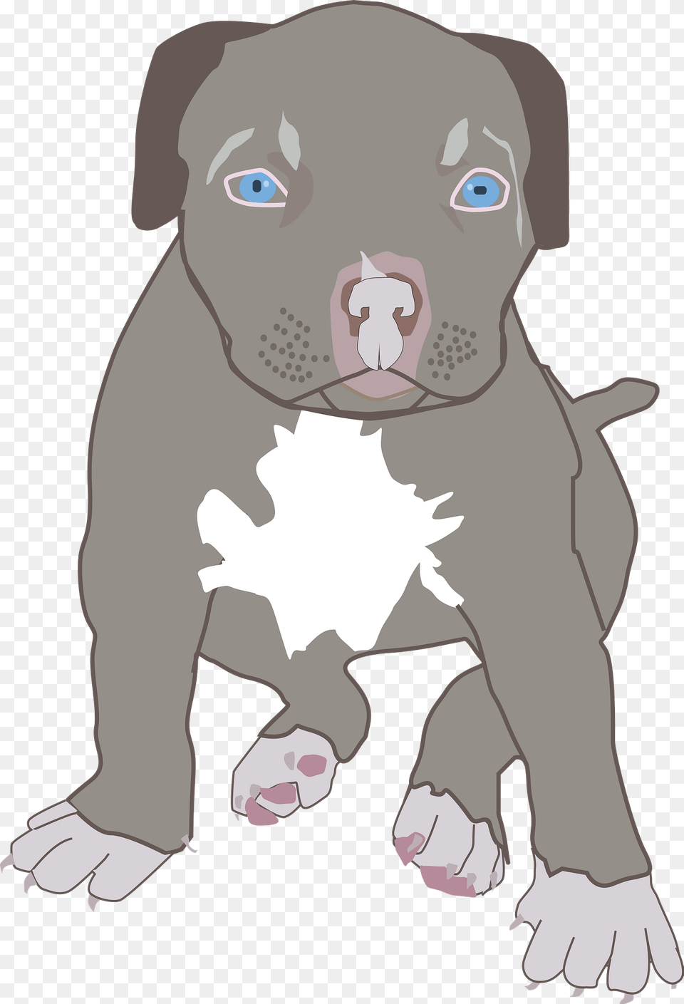 Pit Bull Puppy Clipart, Snout, Baby, Person, Head Png