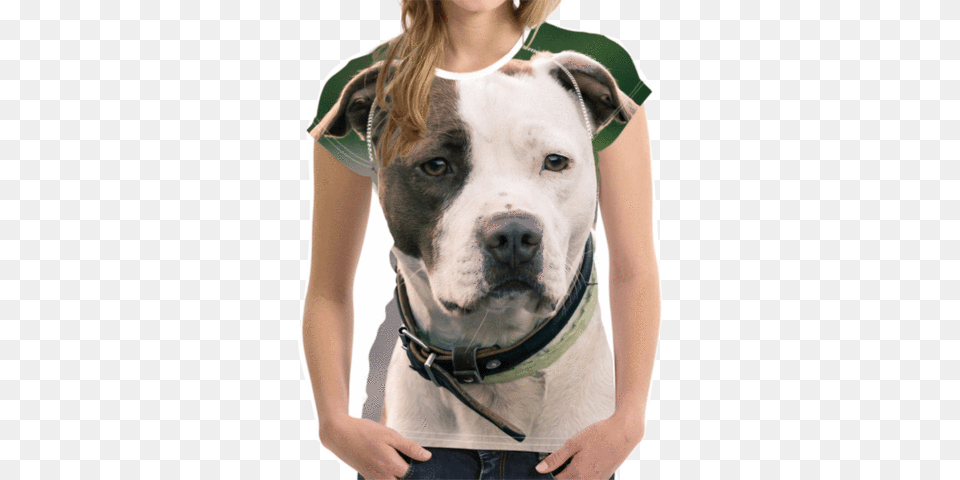 Pit Bull Terrier, Animal, Canine, Dog, Mammal Free Png