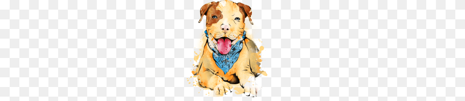 Pitbull, Accessories, Baby, Person, Animal Free Transparent Png