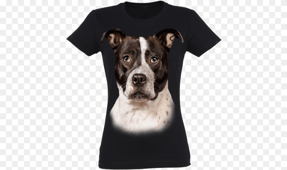 Pitbull, Clothing, T-shirt, Animal, Canine Free Transparent Png