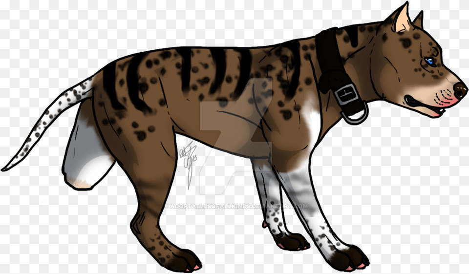 Pitbull Auction By Adoptablesofallkinds Spotted Hyena, Adult, Female, Person, Woman Free Transparent Png