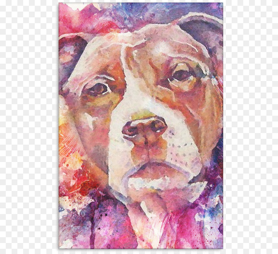 Pitbull Canvas P86 Boxer, Art, Painting, Modern Art, Baby Png