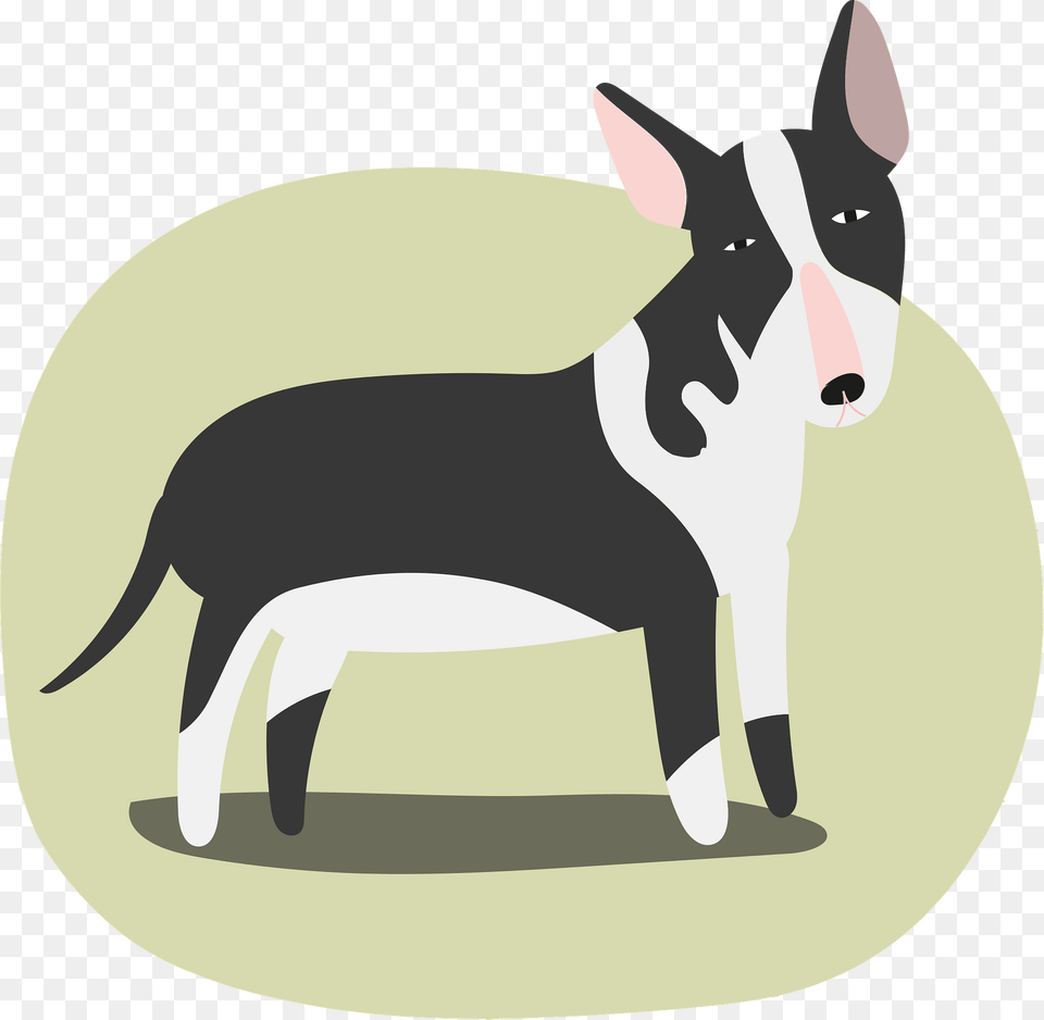 Pitbull Clipart, Animal, Boston Bull, Bulldog, Canine Png Image