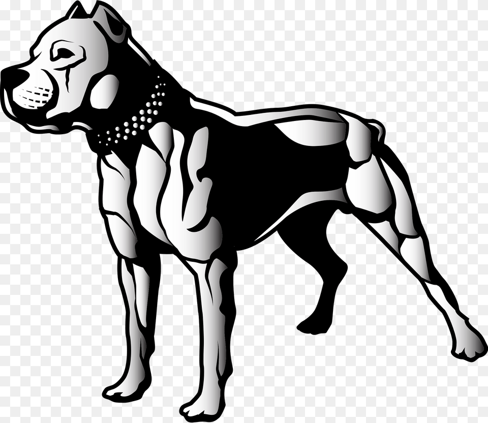 Pitbull Clipart, Stencil, Animal, Canine, Mammal Free Transparent Png