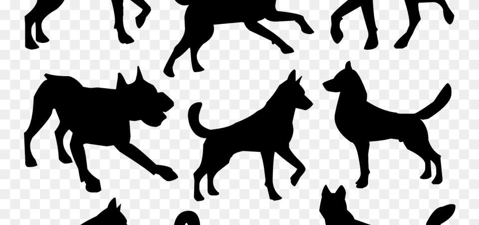 Pitbull Clipart Pitbull Silhouette For Download Dog Png Image