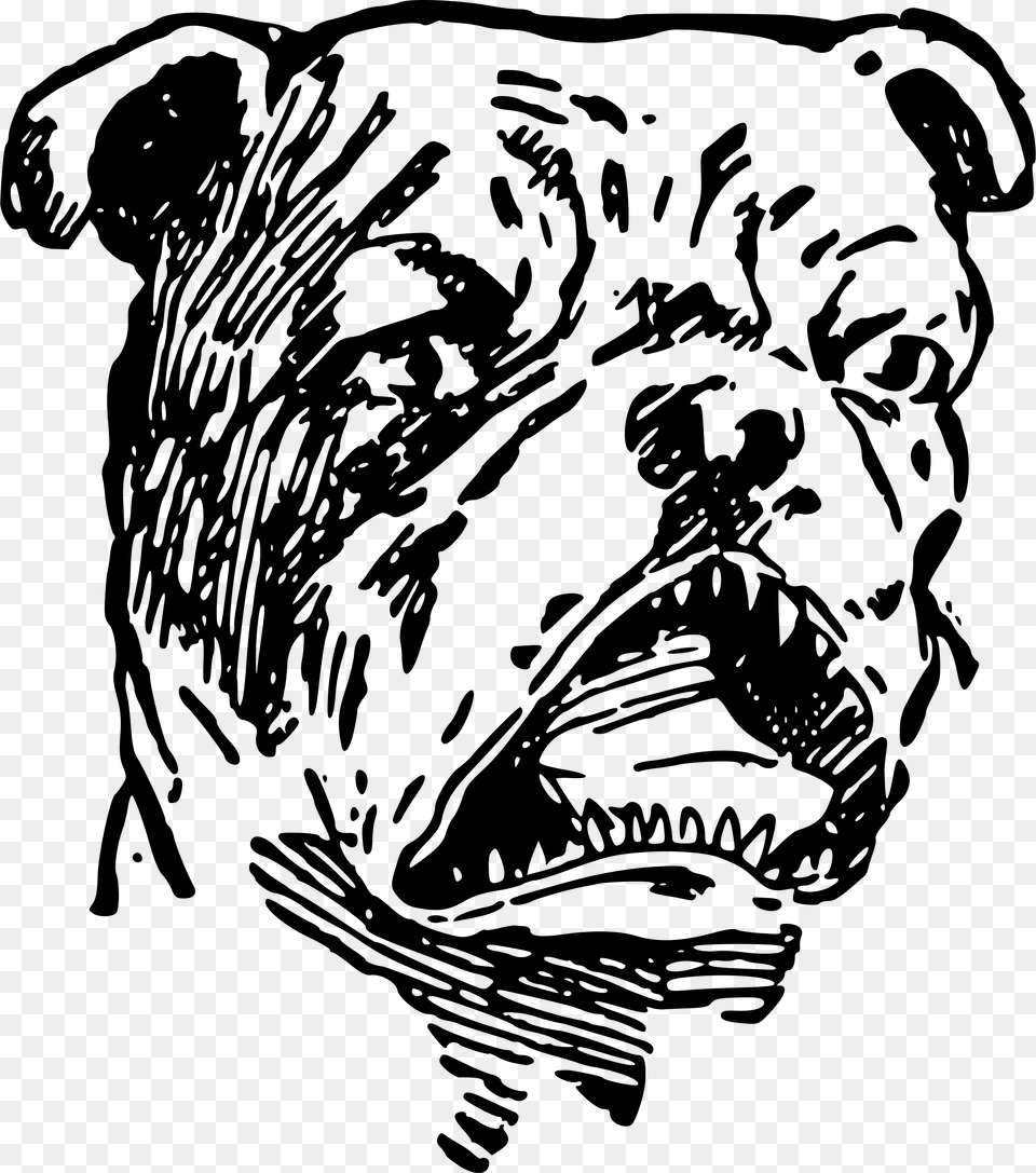 Pitbull Clipart Spiked Collar Angry Bulldog, Gray Png Image