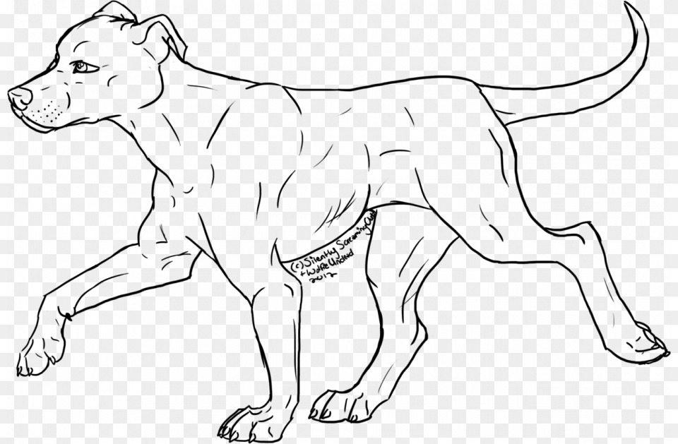 Pitbull Coloring Pages Ted Coloring Pages Pitbull Great Dane Coloring Page, Gray Free Png