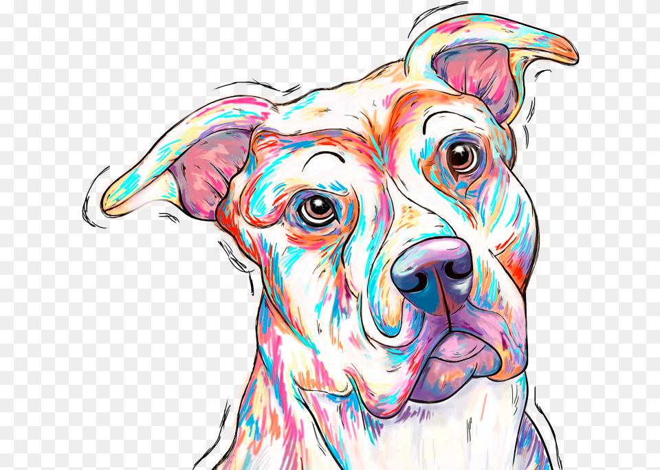 Pitbull Companion Dog, Art, Adult, Female, Person Free Png