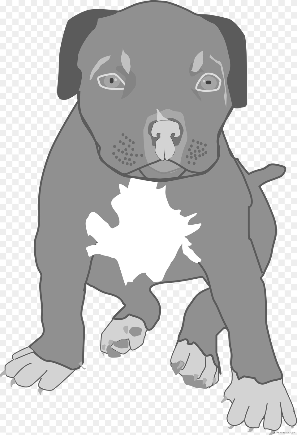 Pitbull Dog Pit Bull Puppies Clip Art, Baby, Person, Snout, Puppy Png Image