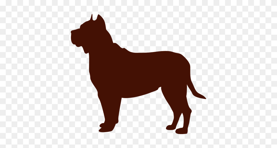 Pitbull Dog Silhouette, Animal, Kangaroo, Mammal, Canine Free Transparent Png
