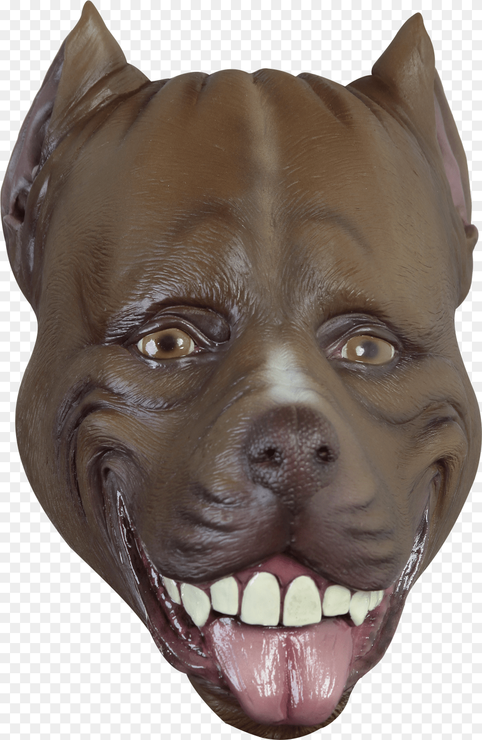 Pitbull Dogs Png