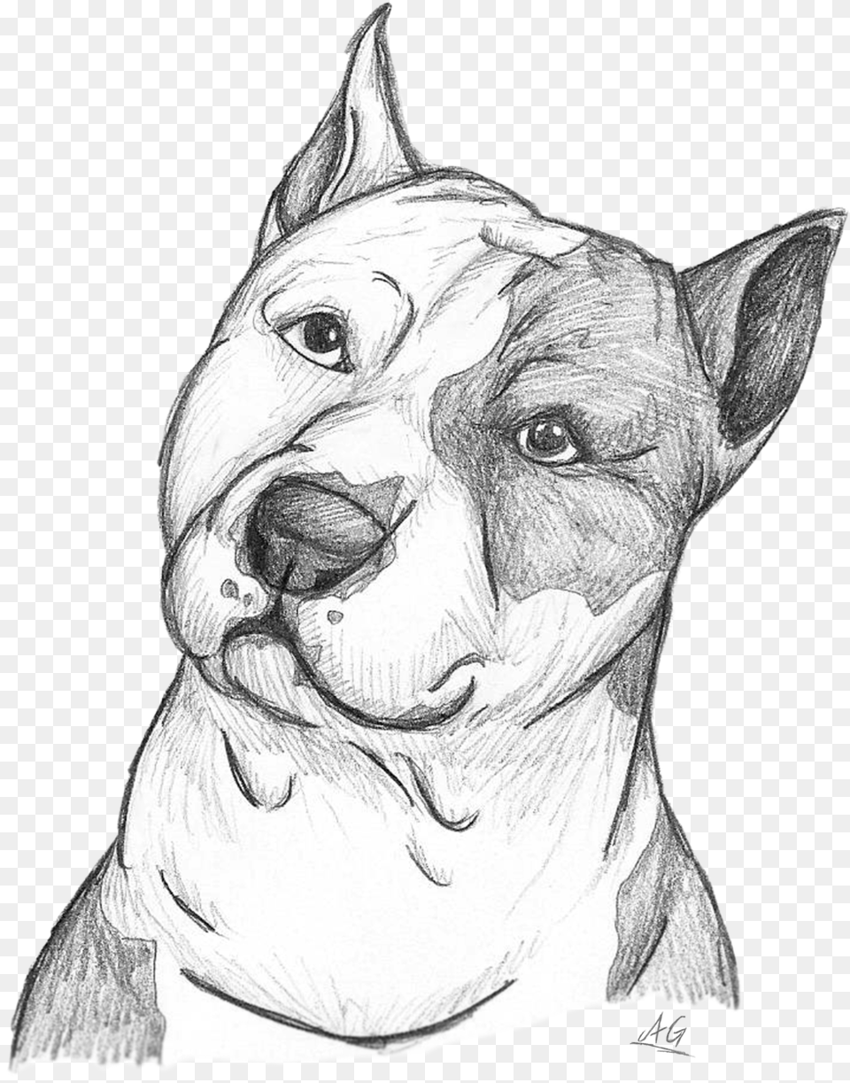 Pitbull Drawing Eye Draw A Staffordshire Bull Terrier, Art, Person Free Png Download