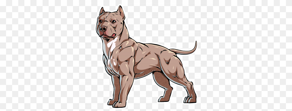 Pitbull Drawing Pitbull, Animal, Bulldog, Canine, Dog Png Image