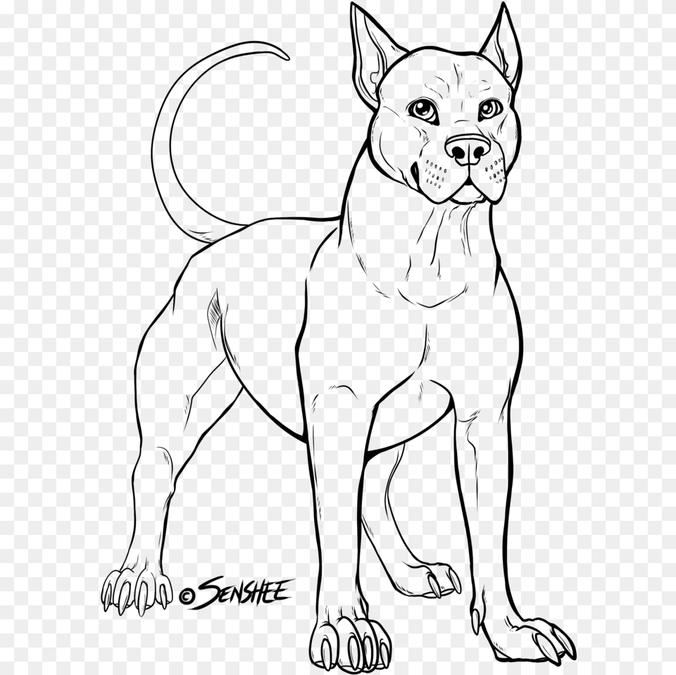 Pitbull Line Drawing At Getdrawings Pitbull Drawing, Gray Free Png