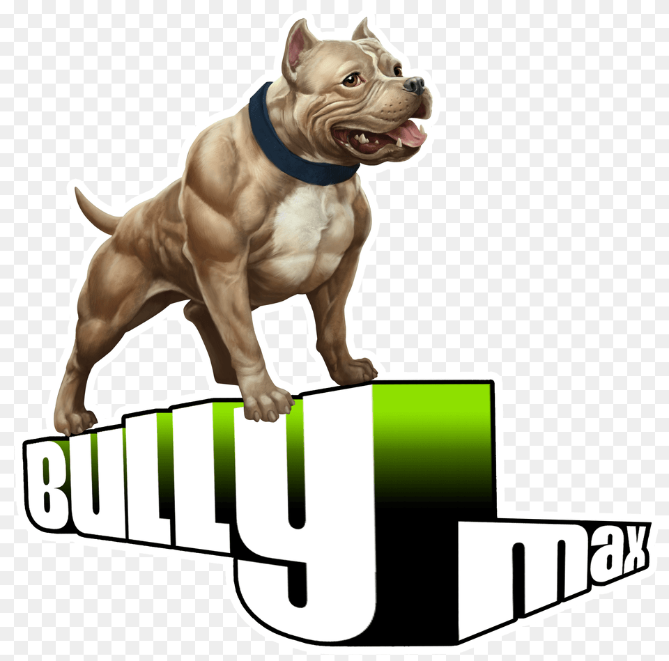 Pitbull Logo American Bullyv, Animal, Canine, Dog, Mammal Png Image