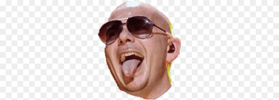 Pitbull Pit Bull Face Eyewear Nose Head Chin Tongue Pitbull Face, Accessories, Sunglasses, Body Part, Adult Free Transparent Png