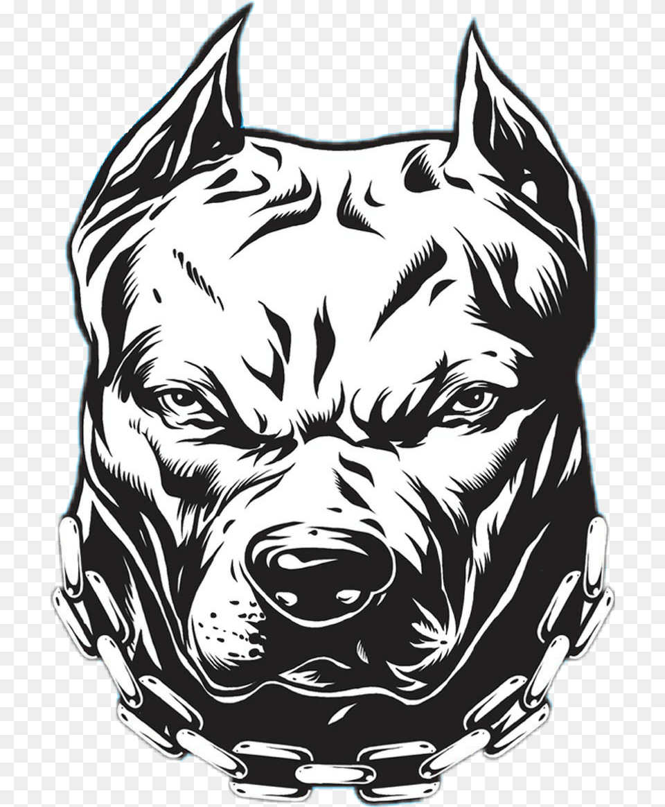 Pitbull Pitbull Sticker, Stencil, Adult, Male, Man Free Png