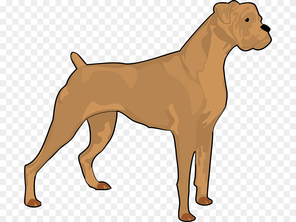 Pitbull Sitting Boxer Dog Silhouette, Animal, Bulldog, Canine, Pet Png Image