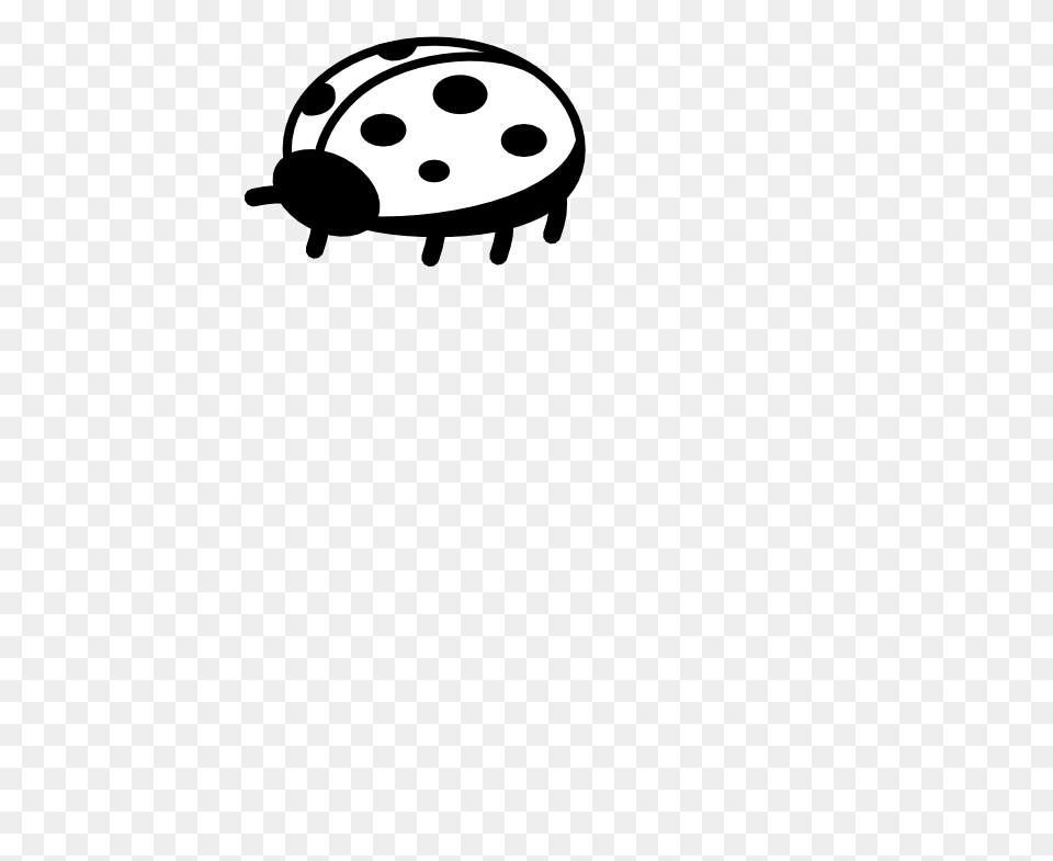 Pix For Black And White Ladybug Clip Art, Stencil, Animal, Bear, Mammal Free Png Download