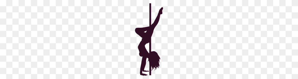 Pix For Computer Wallpapers The Pole Dancer, Person Png Image