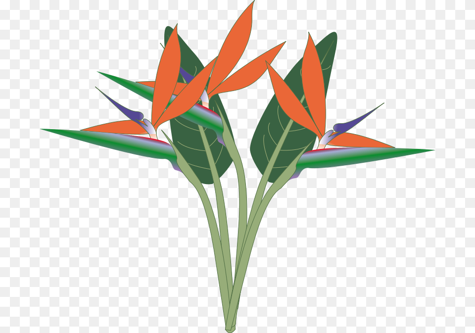 Pix For Easter Brunch Clip Art, Leaf, Plant, Flower, Origami Png Image