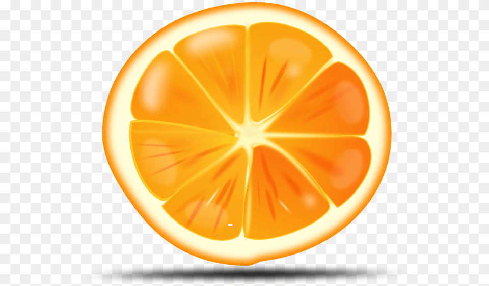 Pix For Orange Fruit Free Fruit Cross Stitch Patterns, Citrus Fruit, Food, Plant, Produce Png