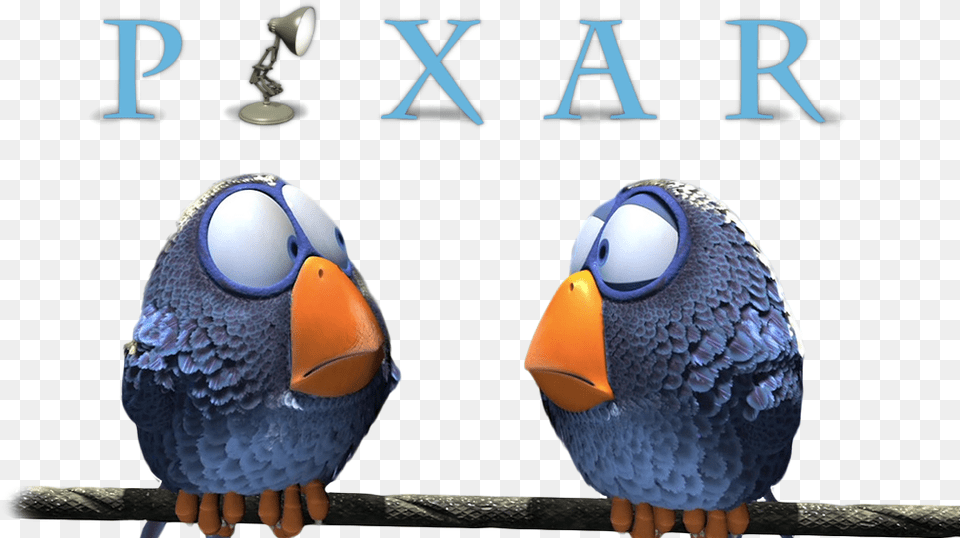 Pixar Shorts Image Pixar Birds Poster 24x18 Inch, Animal, Beak, Bird Free Transparent Png