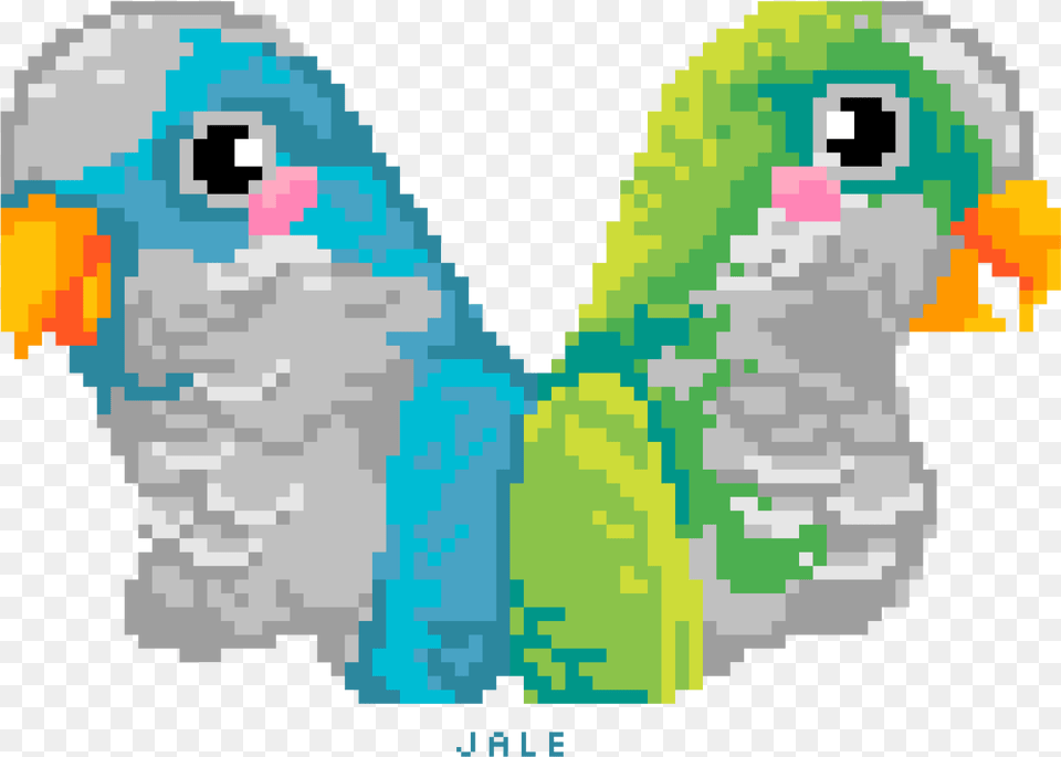 Pixel Quaker Parrots By Jale Soysal My Pixel Quaker Parrot, Animal, Bird, Parakeet Png