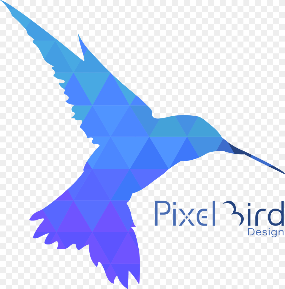 Pixelbirddesign Bird Design, Animal, Flying, Booby, Person Free Transparent Png