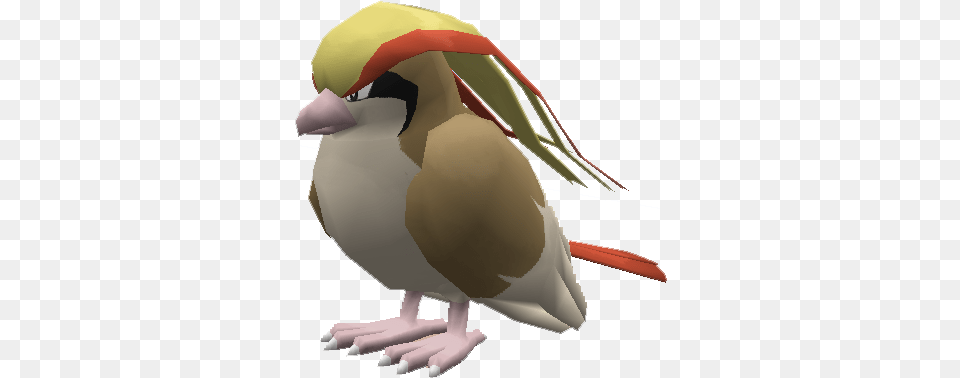 Pixelmon Wiki, Animal, Beak, Bird, Finch Png