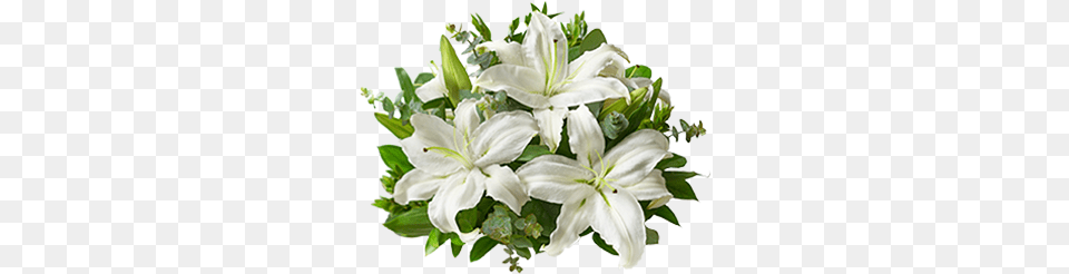 Pixels 345x377 Funeral Flower Transparent, Flower Arrangement, Flower Bouquet, Plant, Anther Png
