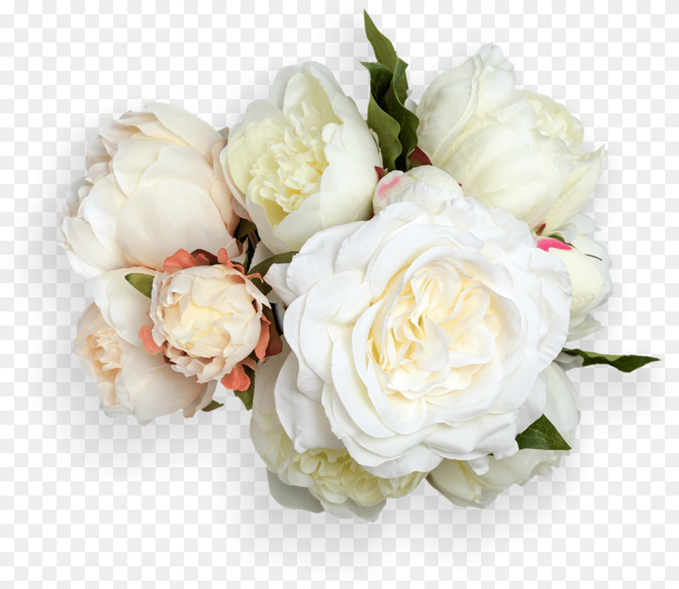 Pixels Display Peony Danielle Conley For Mobile Peony Blooms Font, Flower, Flower Arrangement, Flower Bouquet, Plant Png
