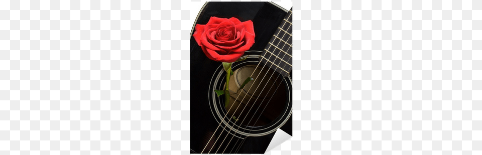 Pixerstick Klistremerke Rd Rose Inne I Gammel Svart Guitar, Flower, Plant, Musical Instrument, Person Png