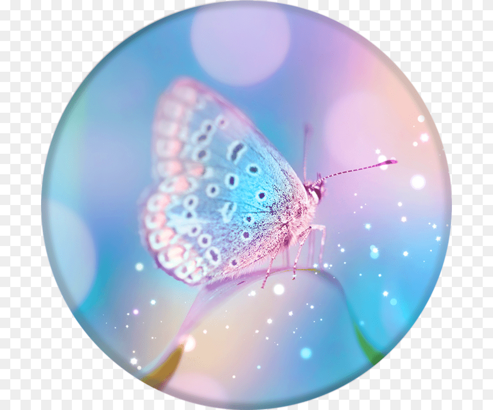 Pixie Dust, Sphere, Animal, Insect, Invertebrate Png