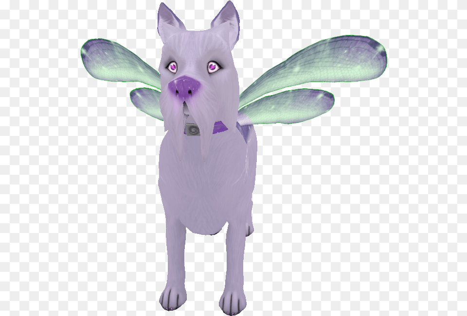 Pixie Yorkie Mouse, Purple, Animal, Cat, Mammal Free Transparent Png