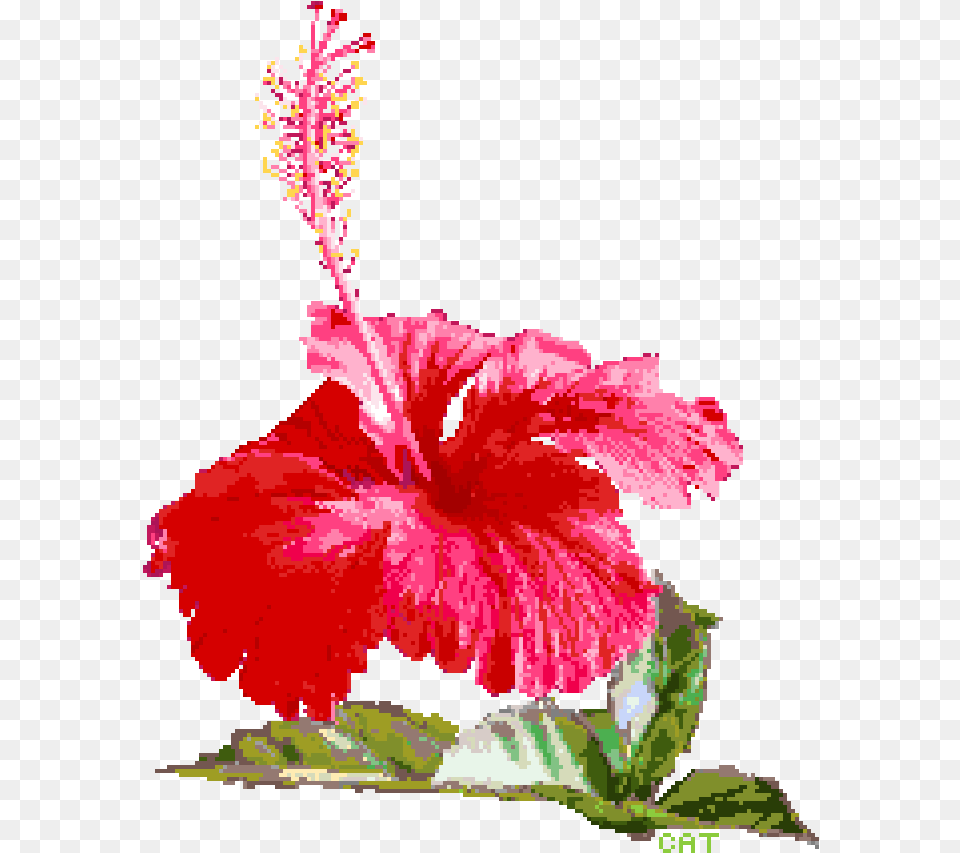 Pixilart By Catsorfries Transparent Background Hawaiian Hibiscus, Flower, Plant, Dynamite, Weapon Png Image
