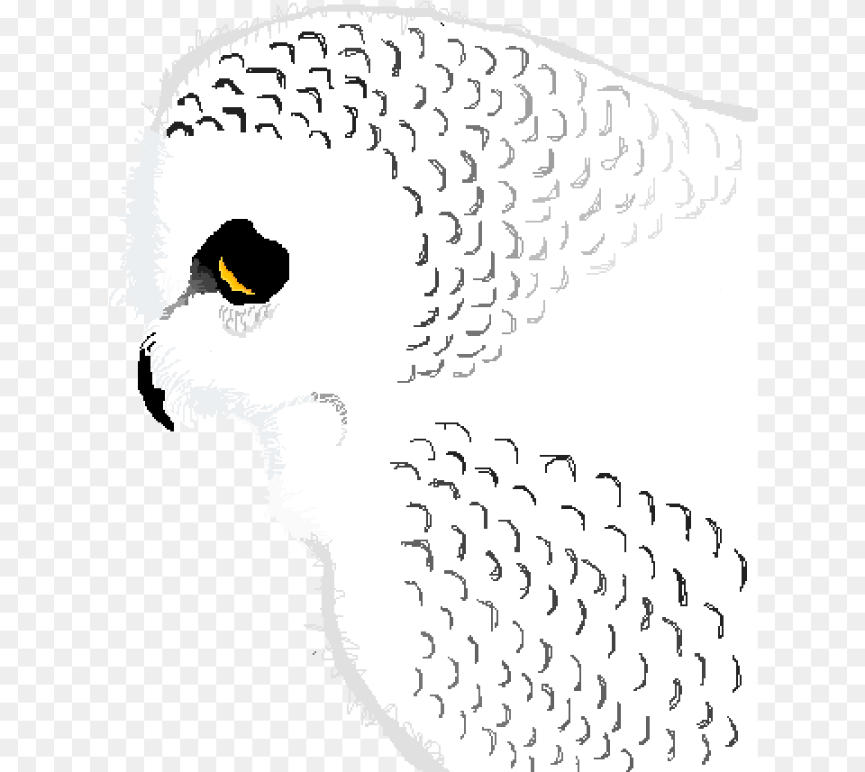Pixilart Hedwig By Gilmoregirl Dot, Animal, Beak, Bird, Person Free Png