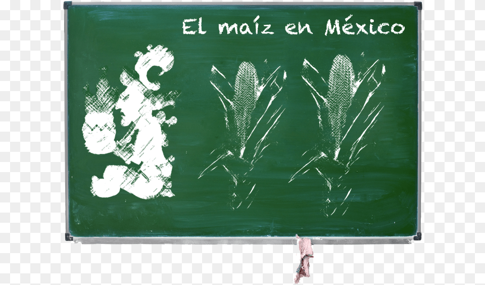 Pizarrn Con El Tema Del Maz Teacher, Blackboard, Plant, Adult, Bride Free Transparent Png