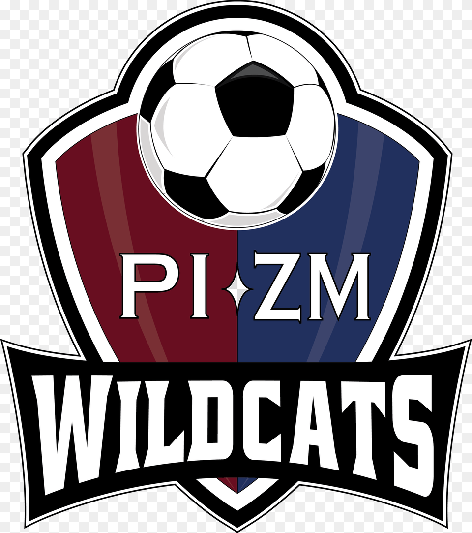 Pizm Logo, Ball, Football, Soccer, Soccer Ball Png