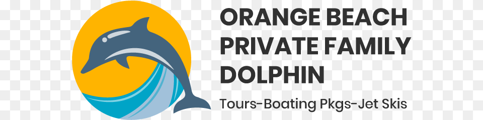 Pkg U201c A U201d Discovery Excursion Orange Beach Dolphin Tours Cooper Lighting, Animal, Mammal, Sea Life Free Png Download